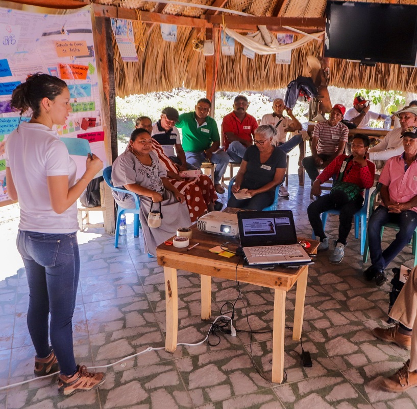 Ganaderia Guajira