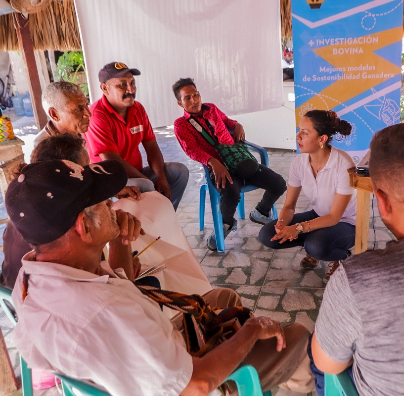 Ganaderia Guajira